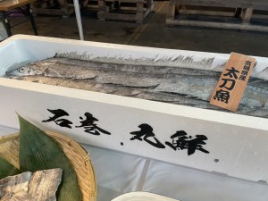 IMG_7979
