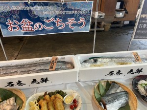 IMG_7982