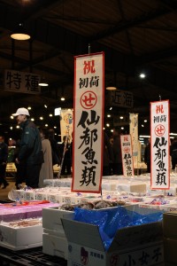 IMG_1041