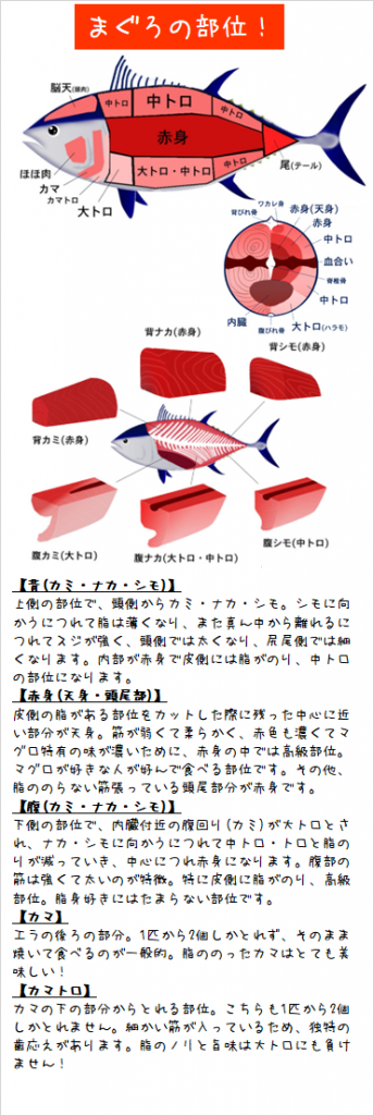 maguro4