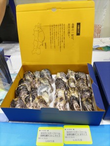 DSC_0021_TEMP
